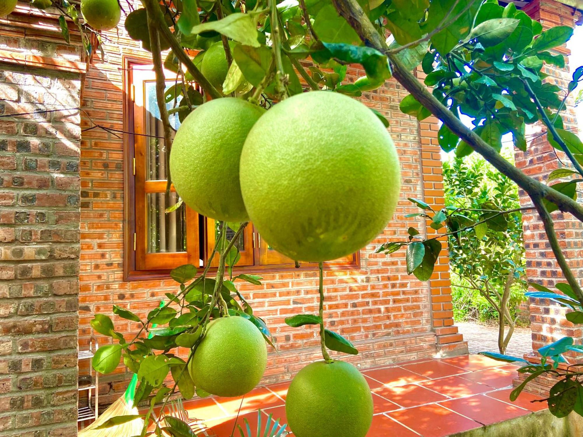 Ninh Binh Friendly Homestay Eksteriør bilde