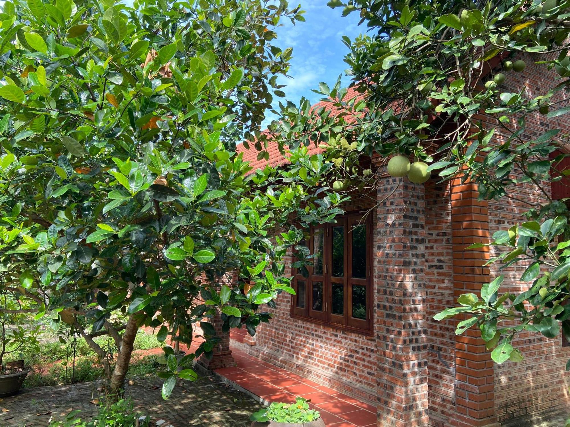 Ninh Binh Friendly Homestay Eksteriør bilde