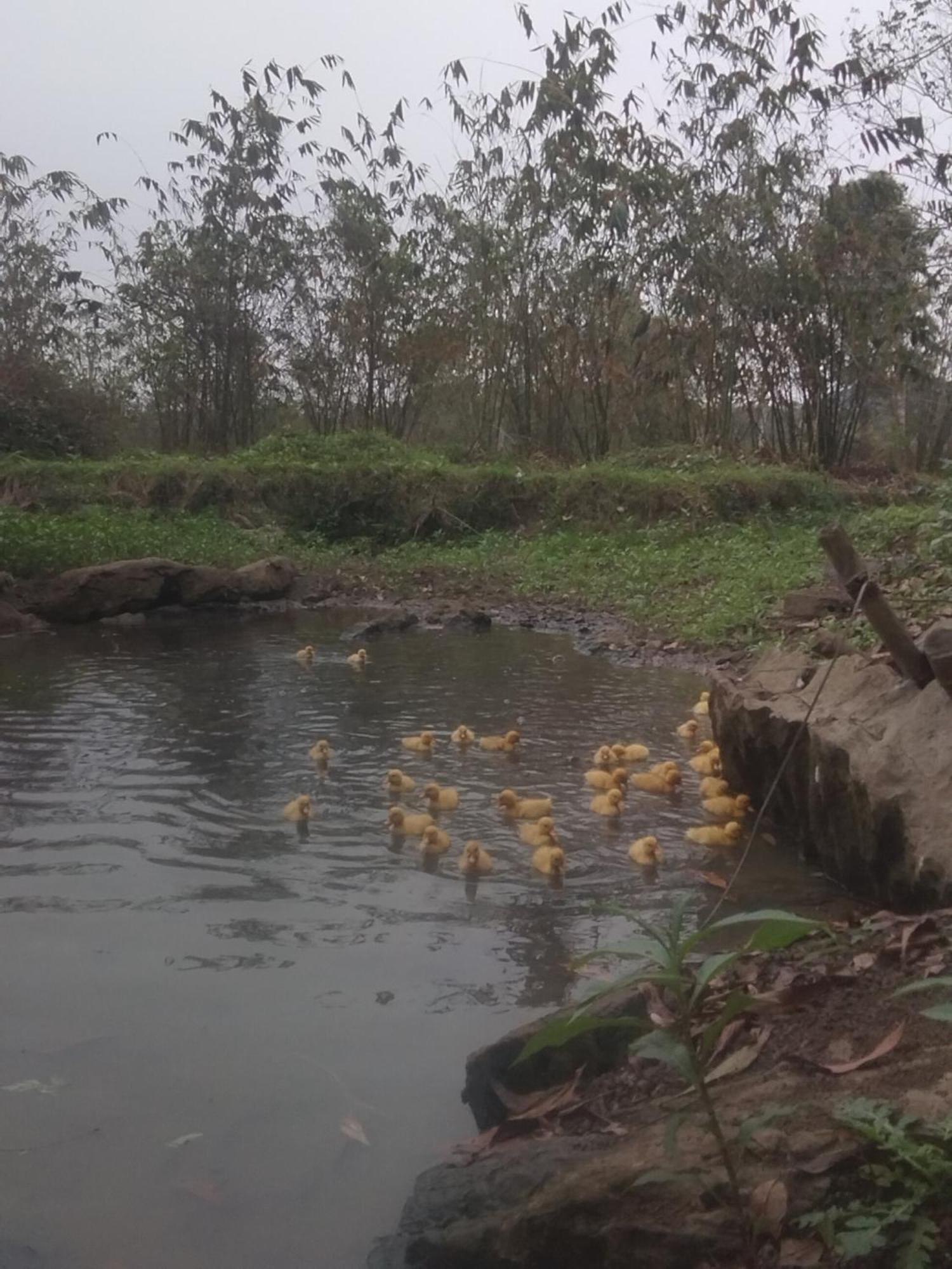 Ninh Binh Friendly Homestay Eksteriør bilde